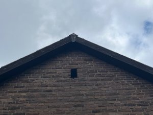 IMG_0987.jpeg