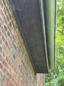 IMG_0897.jpeg
