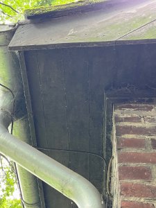 IMG_0898.jpeg