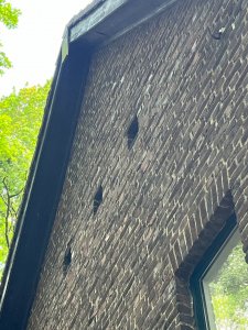 IMG_0900.jpeg