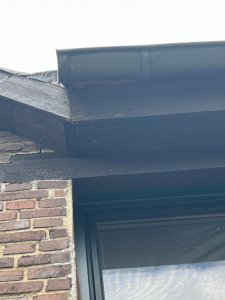 IMG_0986.jpeg