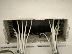 IMG_20240722_164444.jpg