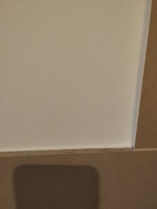 IMG_20240723_163753081.jpg