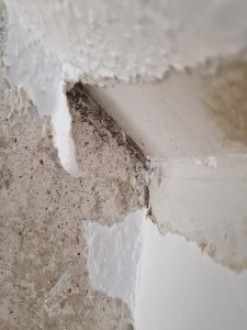20240521_145736.jpg