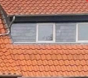 Bildschirmfoto 2024-07-28 um 19.49.17.png