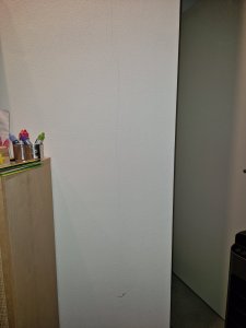 20240729_000110.jpg