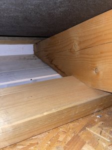 IMG_8896.jpeg