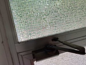 IMG_20240617_184328.jpg