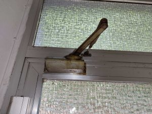 IMG_20240617_184342.jpg