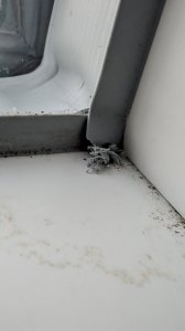 PXL_20240806_185001867.MP.jpg