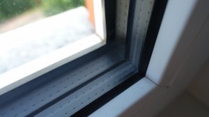DSC04382.JPG