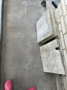 IMG_8319.jpeg