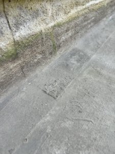 IMG_8312.jpeg