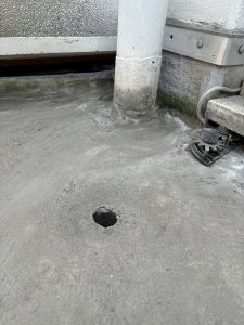 IMG_8316.jpeg