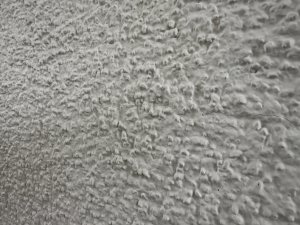 IMG_0734.jpeg