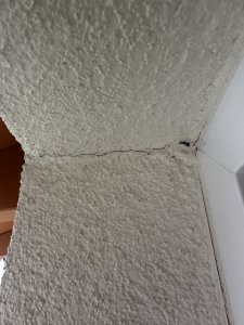 IMG_0733.jpeg