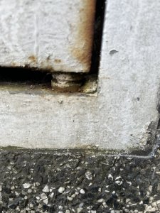 IMG_8558.JPG