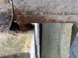 IMG_8561.JPG