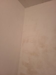 20240810_232125.jpg