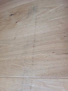 20240813_181012.jpg