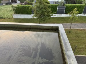 IMG_0481.jpeg