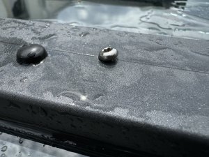 IMG_4052.jpeg