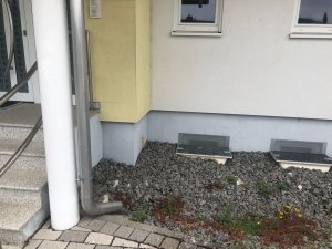 a004b73e-7c77-4a1c-bc0f-84ba09f9ce4f.jpeg
