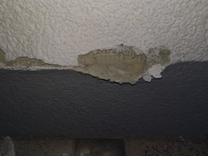 IMG_20240815_202428.jpg
