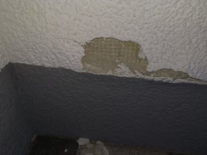 IMG_20240815_202432.jpg