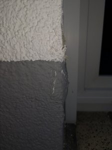 IMG_20240815_202452.jpg