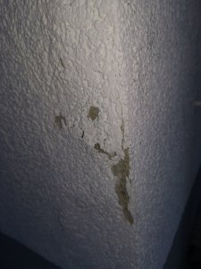 IMG_20240815_202604.jpg