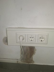 IMG_20240402_092141.jpg