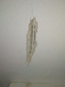 IMG_20240402_092939.jpg