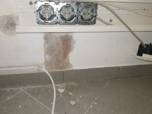 IMG_20240402_095543.jpg