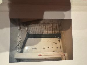 WhatsApp Image 2024-08-17 at 23.23.57(1).jpeg