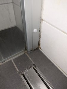 PXL_20240822_170318346.jpg