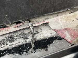 IMG_1367.jpeg