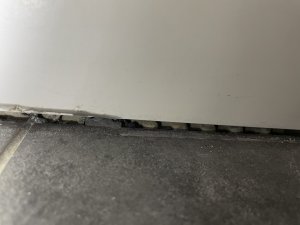 IMG_1364.jpeg