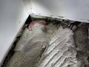 IMG_1362.jpeg