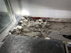 IMG_1359.jpeg