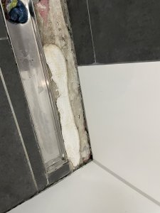 IMG_1358.jpeg