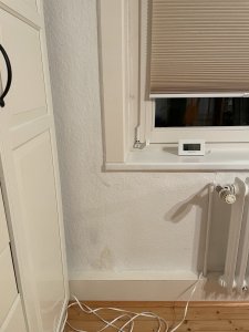 IMG_7552.jpeg