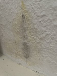 IMG_7555.jpeg