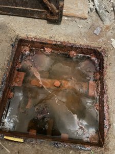 IMG_2498.jpeg