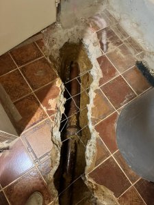 WhatsApp Image 2024-08-31 at 20.52.33.jpeg