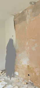 IMG_1079.png