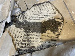 IMG_4503.jpeg