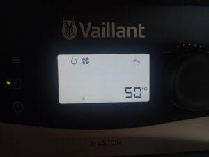 IMG_20240905_133728.jpg