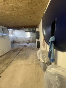 IMG_7299.jpeg