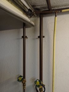 bild2.jpg
